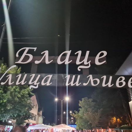 PretresnjaDomacinstvo Trifunovic公寓 外观 照片